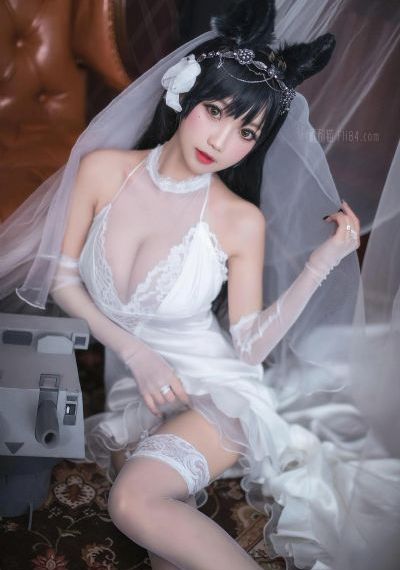 少帅电视剧免费连续剧48集_BD神马在线观看