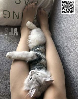 老公的朋友在线观看_1080免费观看电视剧