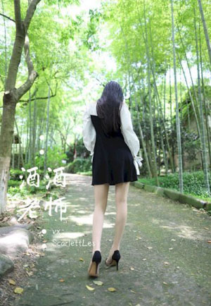 《去有风的地方》电视剧_剧情片高清视频播放