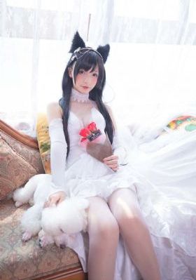 号角响起_DVD在线观看电视